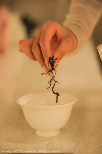 刺激成人在线视频观看海报